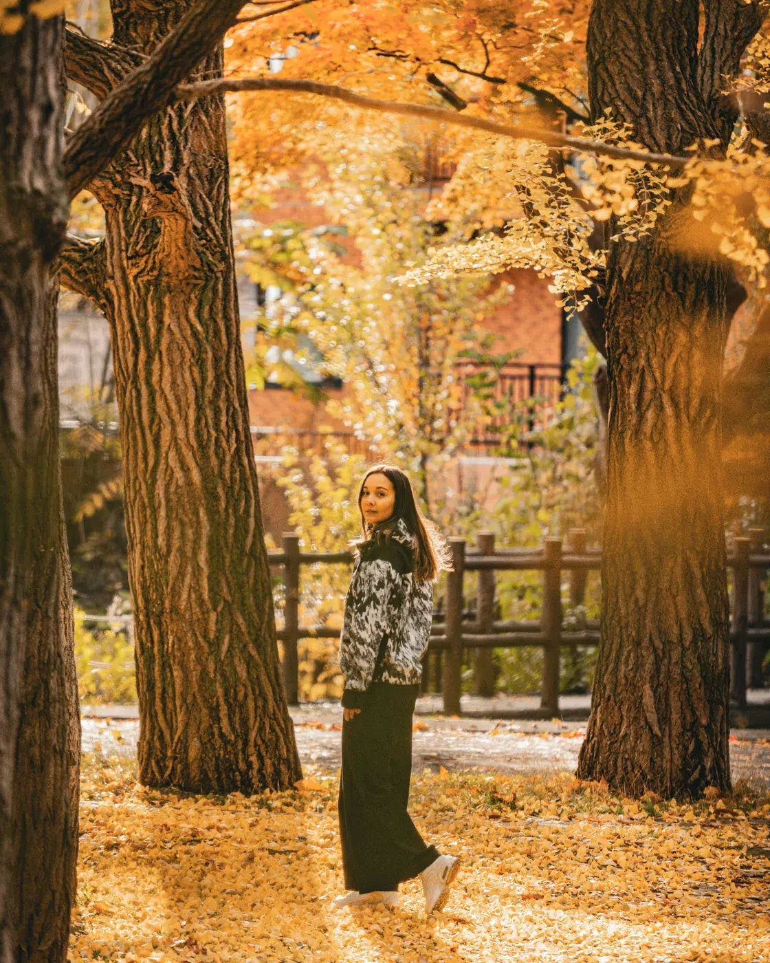 Frau spaziert durch einen mit goldenen Ginkgoblättern bedeckten Parkweg in Sapporo – herbstliche Stimmung pur.