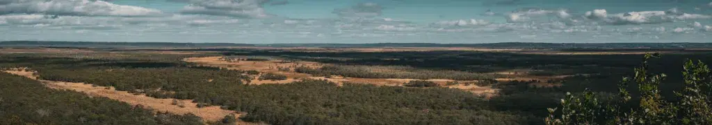 Weitläufige Panoramaaufnahme des Kushiro-Shitsugen-Nationalparks auf Hokkaido, Japan – mit offenen Grasflächen, sumpfigem Gelände, dichten Wäldern und einem bewölkten Himmel am Horizont.