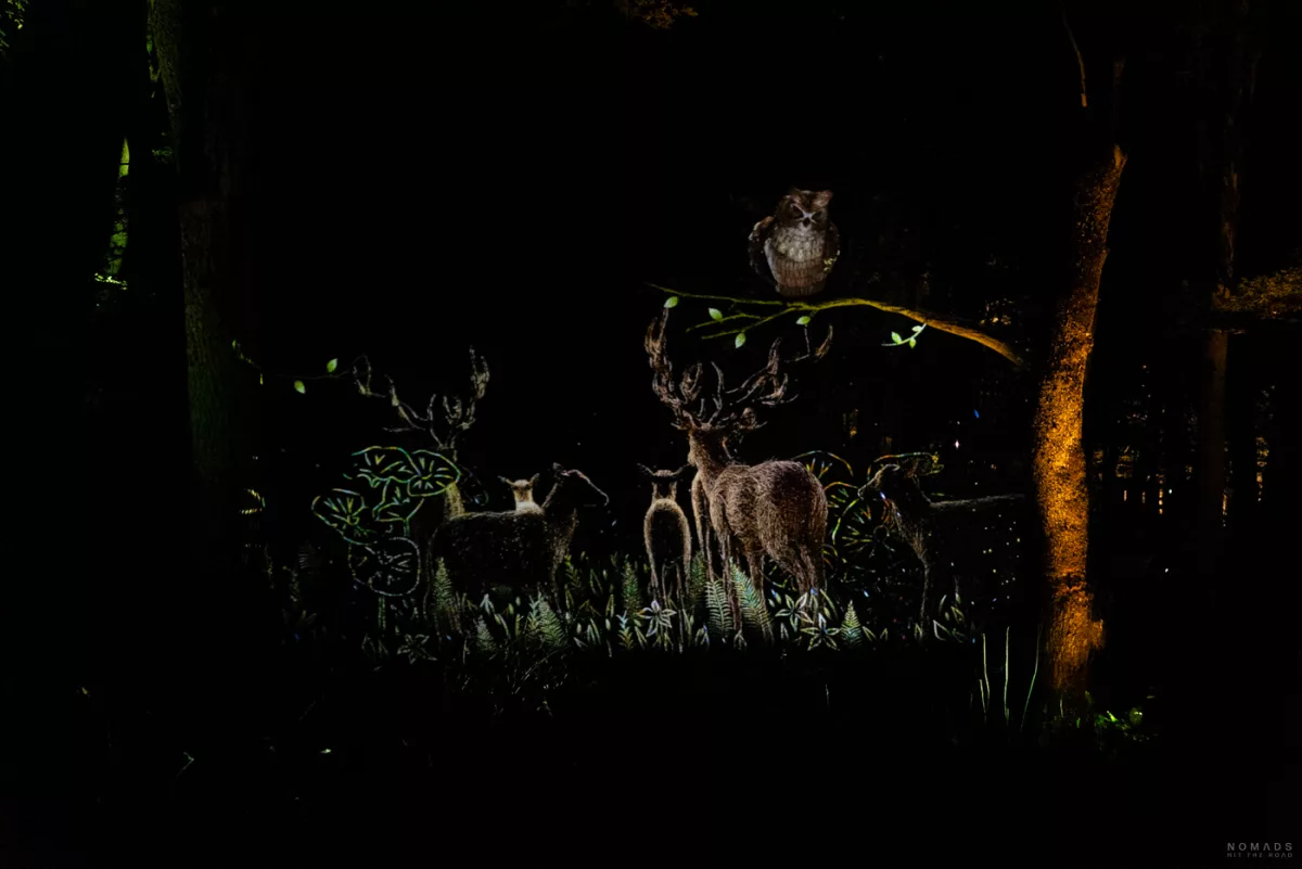 Projektion von Hirschen und einer Eule im Wald – Teil der audiovisuellen Erzählung über Ainu-Mythologie bei Kamuy Lumina.