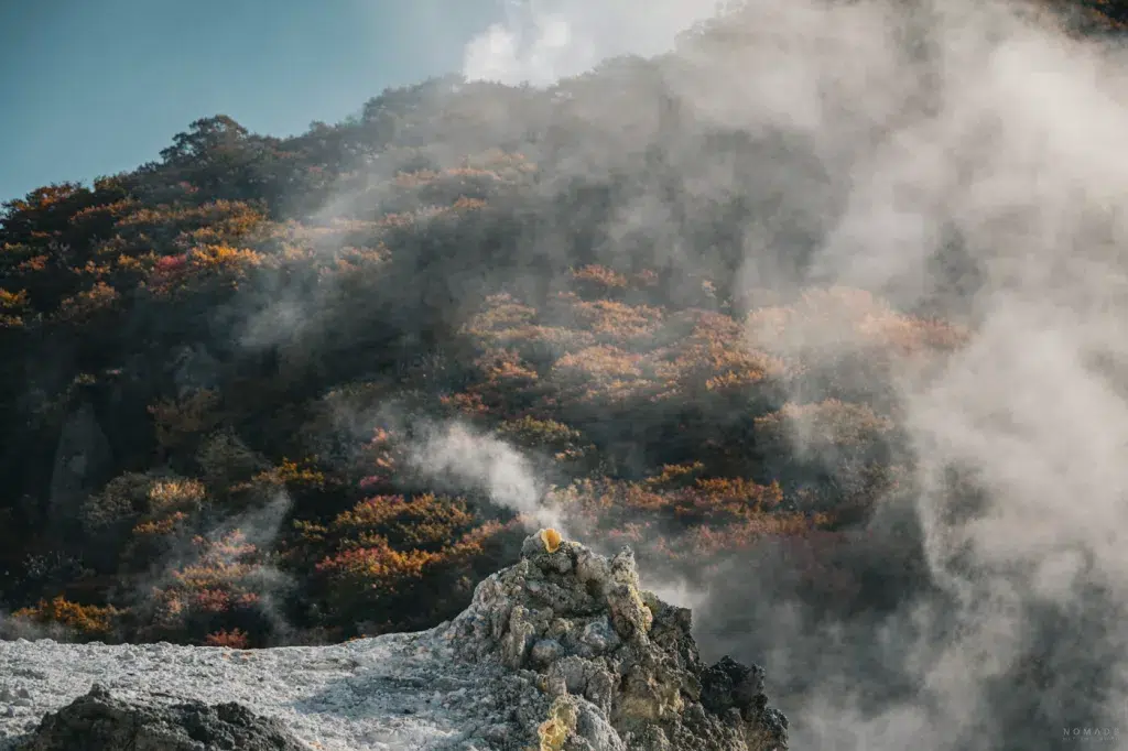 Aufsteigender Dampf aus einer Schwefelquelle im Jigokudani Valley in Noboribetsu, umgeben von herbstlich gefärbten Wäldern in Hokkaido.