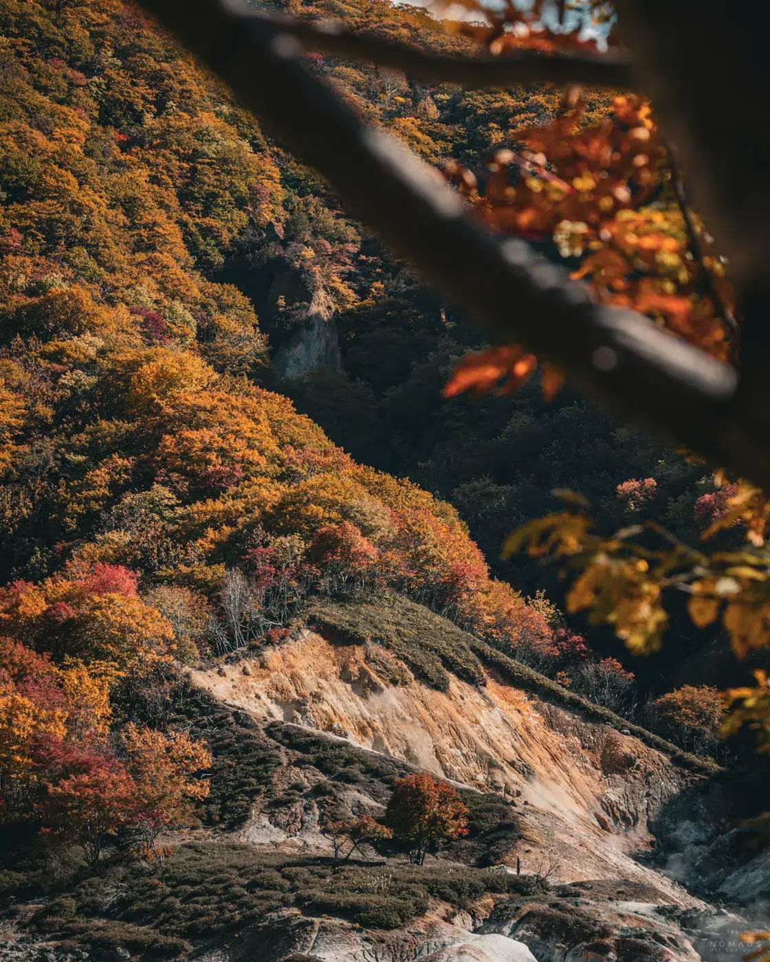 Herbstliche Hügellandschaft rund um das Jigokudani Valley in Noboribetsu mit buntem Laub und vulkanischem Gelände