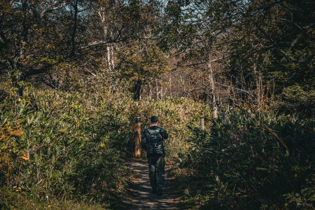 Wanderweg in Shiretoko: Eine Person läuft auf einem schmalen Pfad durch dichtes Grün und herbstlichen Wald.