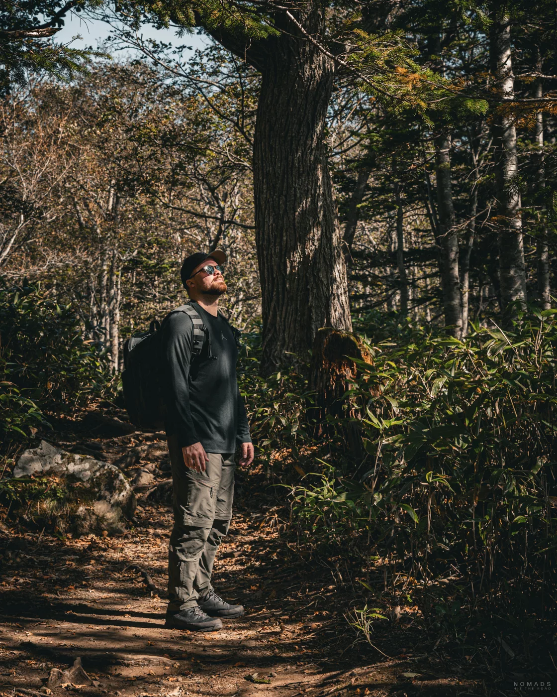 Wanderer steht auf einem schmalen Waldpfad im Shiretoko Nationalpark und blickt in die Baumkronen, umgeben von dichtem Herbstwald auf Hokkaido.