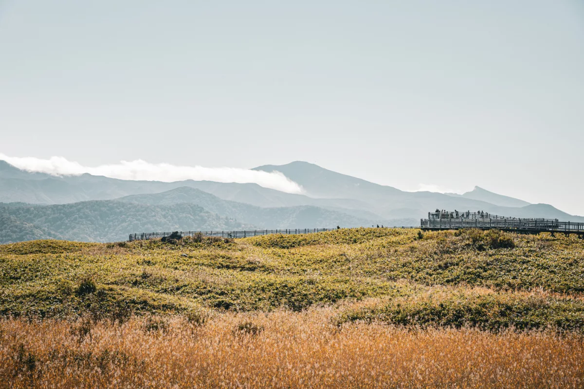 Weite Landschaft im Shiretoko Nationalpark mit Holzstegen durch offenes Moorland, Blick auf die Bergkette und Mount Rausu im Hintergrund.