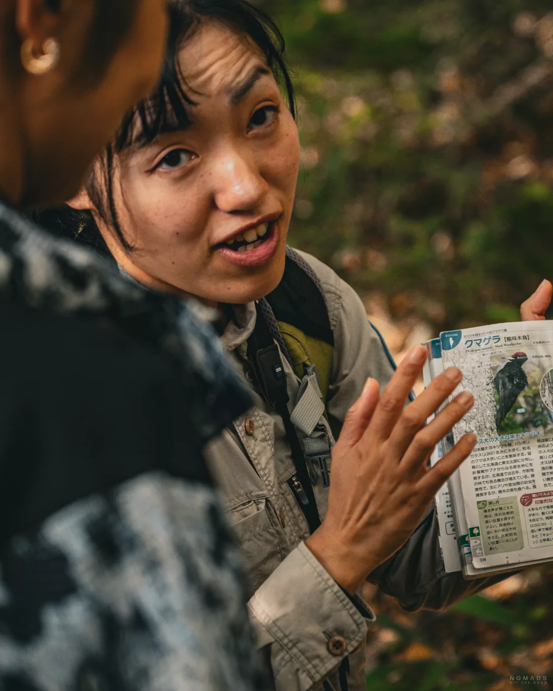 Guide erklärt während einer geführten Wanderung Details zur Tier- und Pflanzenwelt im Wald von Shiretoko.