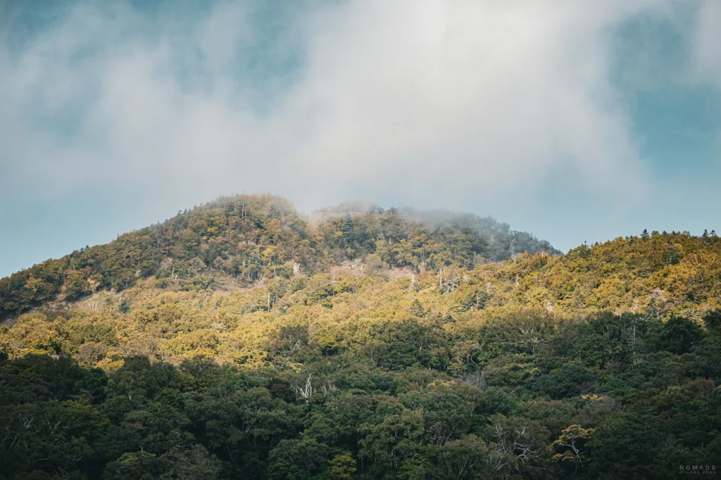Bewaldete Hügel im Shiretoko-Nationalpark, teilweise von tiefhängenden Wolken umhüllt, mit herbstlich gefärbten Bäumen unter hellem Himmel.