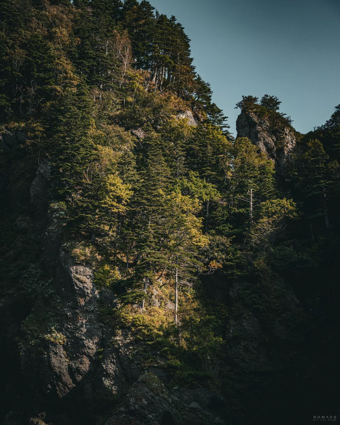 Steile, dicht bewaldete Felslandschaft an der Küste von Shiretoko auf Hokkaido, aufgenommen vom Wasser aus.