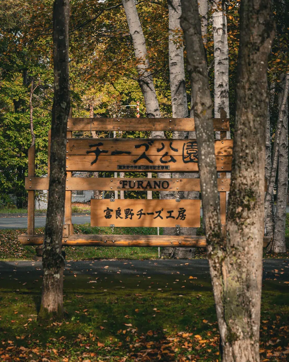 Holzschild der Furano Cheese Factory zwischen Birkenbäumen im herbstlichen Furano, Hokkaido
