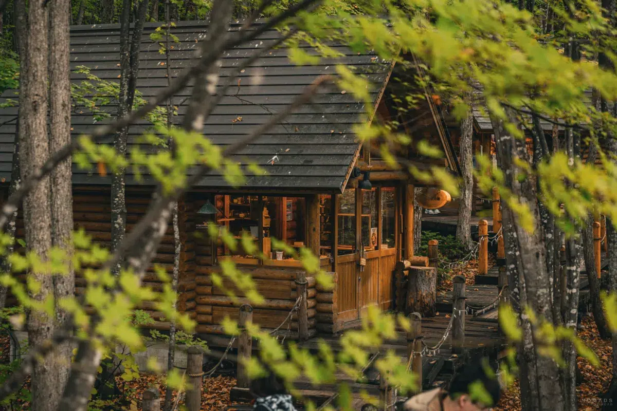 Holzhütten der Ningle Terrace in Furano, eingebettet in einen herbstlichen Wald mit Holzstegen zwischen den Bäumen