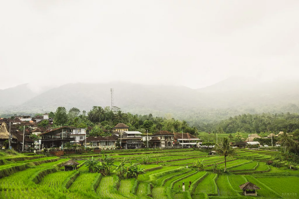 Blick auf die grünen Jatiluwih Reisterrassen sowie das Jatiluwih Village auf Bali