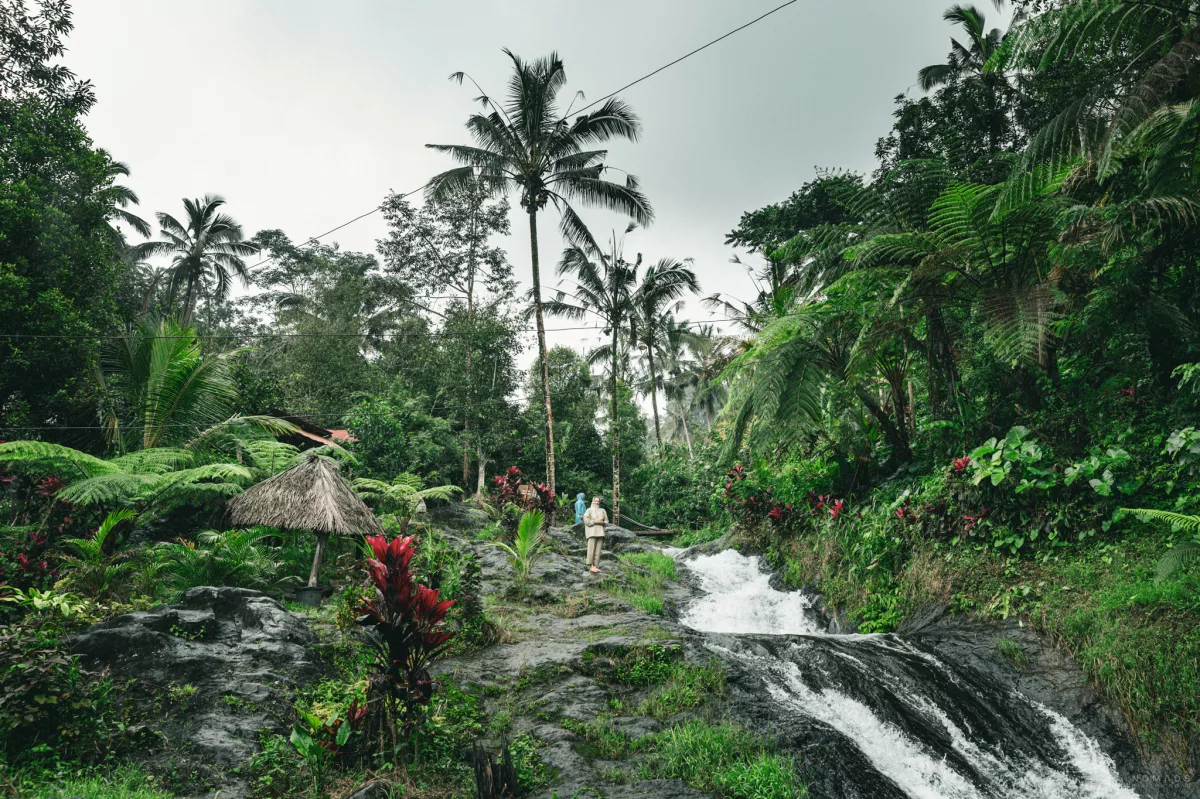 Lemukih Water Slides umgeben von Pflanzen und Palmen