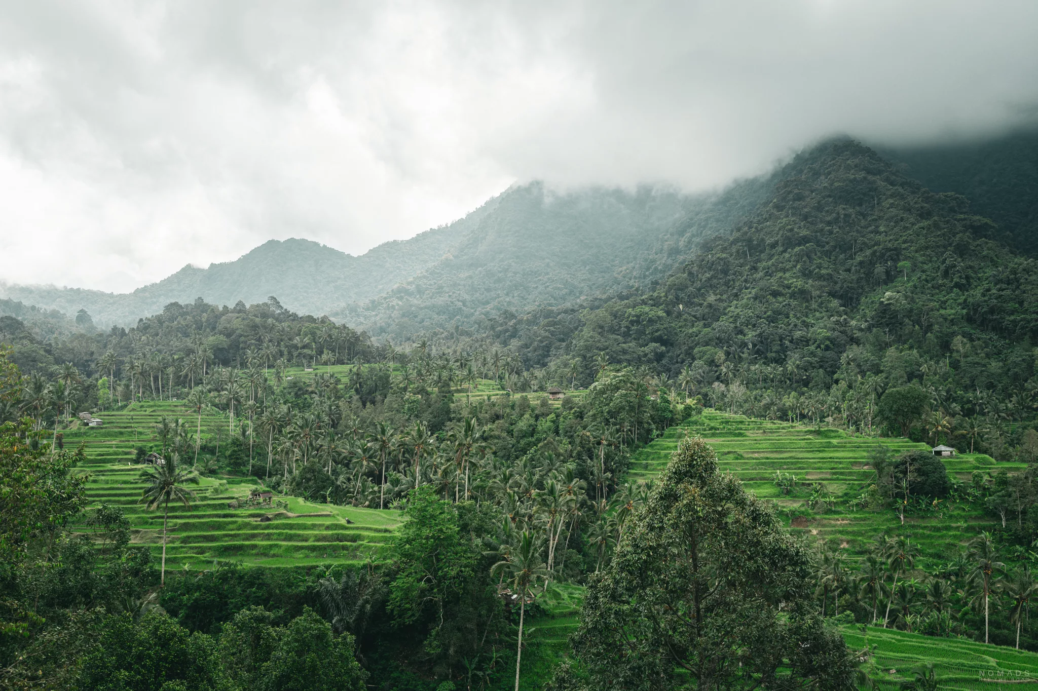 grüne Reisterrassen an Berghängen im Nebel in Lemukih