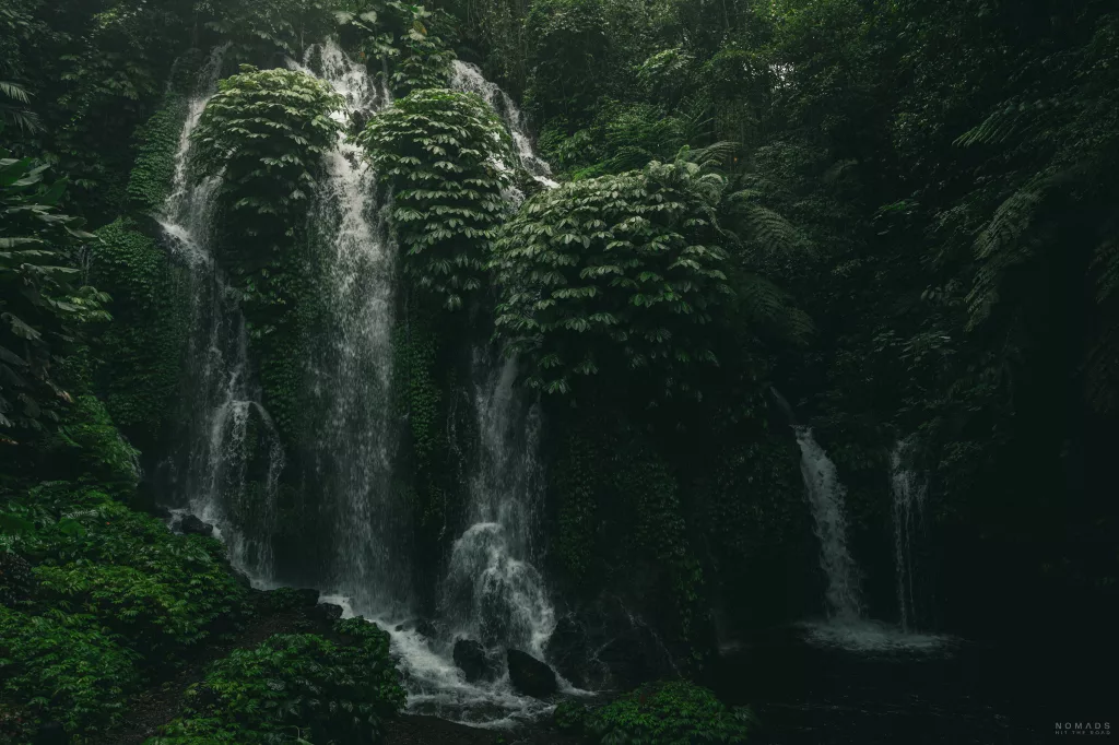 Banyu Wana Amertha Wasserfall umgeben von grüner Vegetation