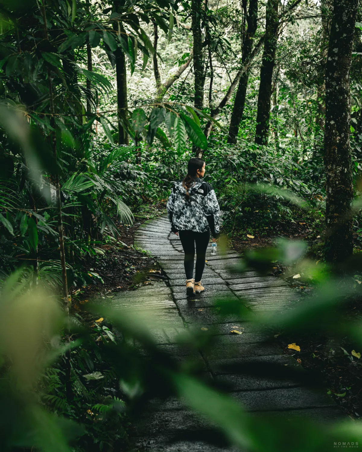 Frau läuft einen Weg inzwischen von Dschungel Pflanzen hinab