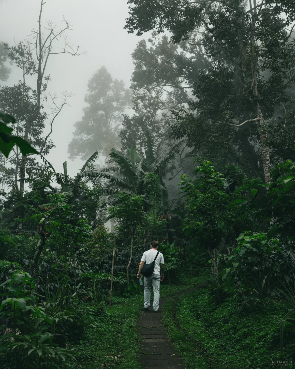 Mann läuft einen Weg zwischen grüner Vegetation hinauf
