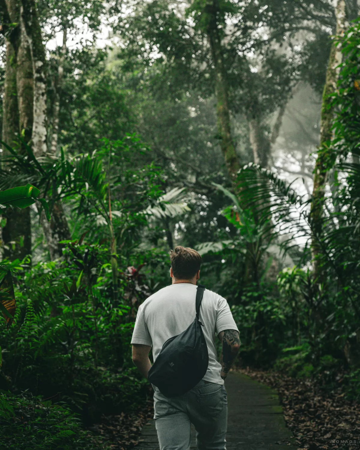 Mann läuft einen Weg zwischen grüner Vegetation hinauf