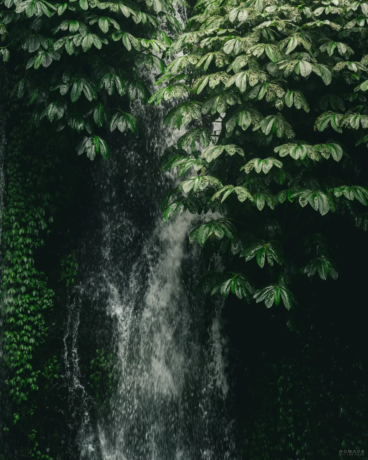 Wasserfall der zwischen Pflanzen und Blättern hindurchschießt