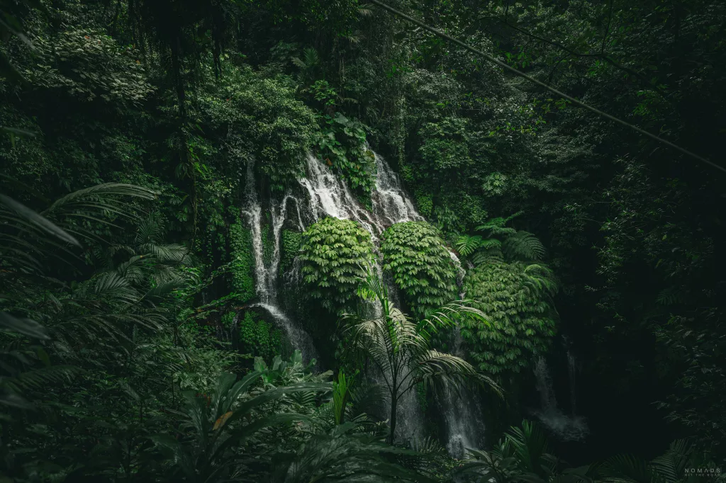 Wasserfall umgeben von grüner Vegetation in Munduk auf Bali