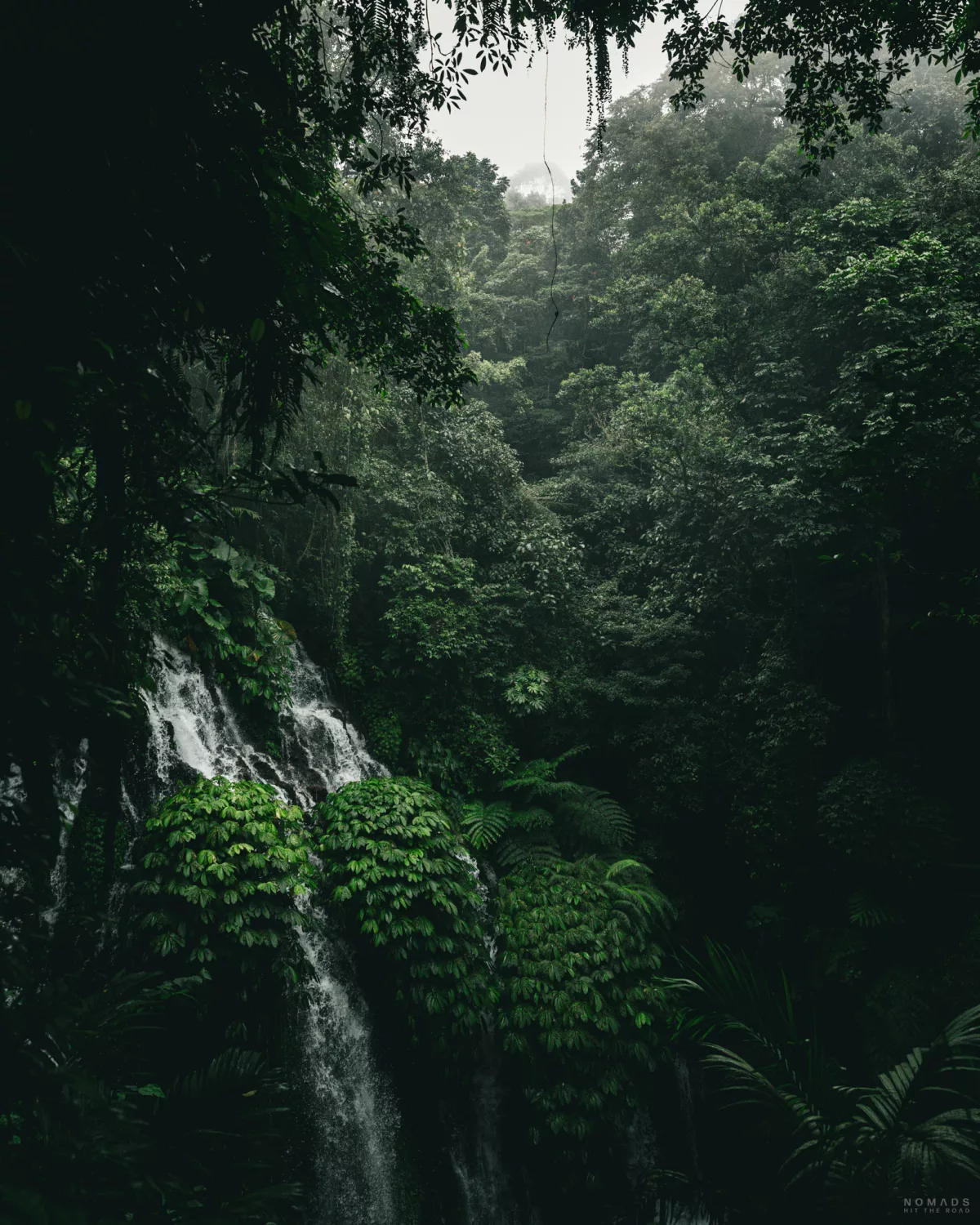 Wasserfall der zwischen Pflanzen und Blättern hindurchschießt