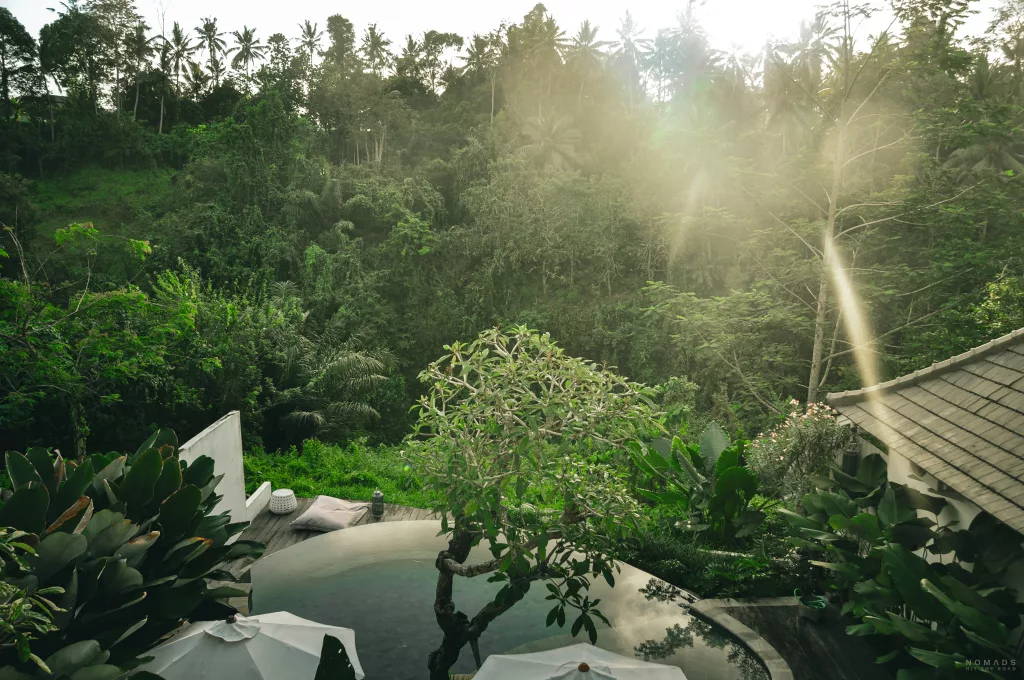 Blick auf den Pool vor einem grünen Hand des Boutique-Hotels Cloud Nine Estate in Ubud