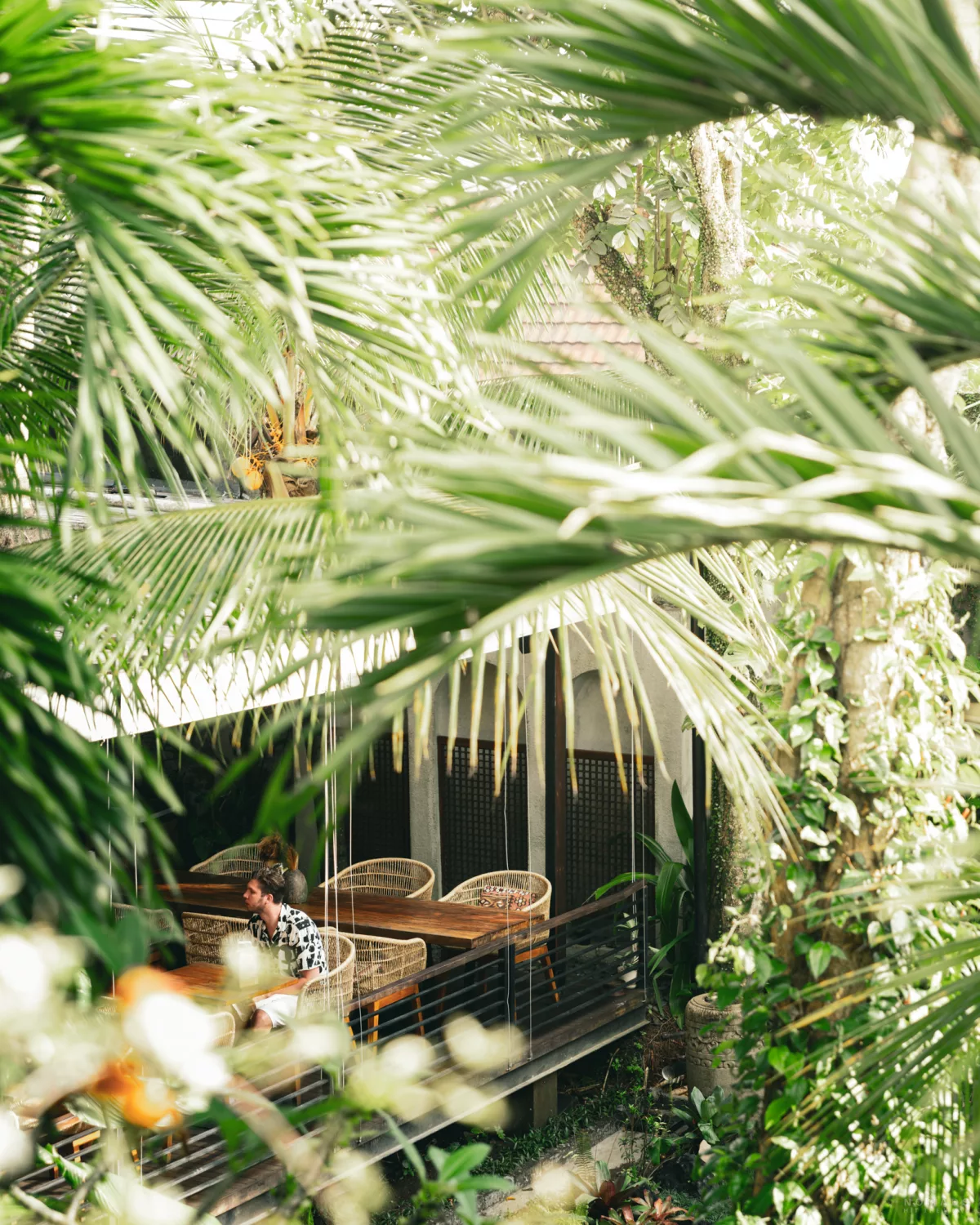 Blick durch Palmen auf das Melali Ubud Restaurant