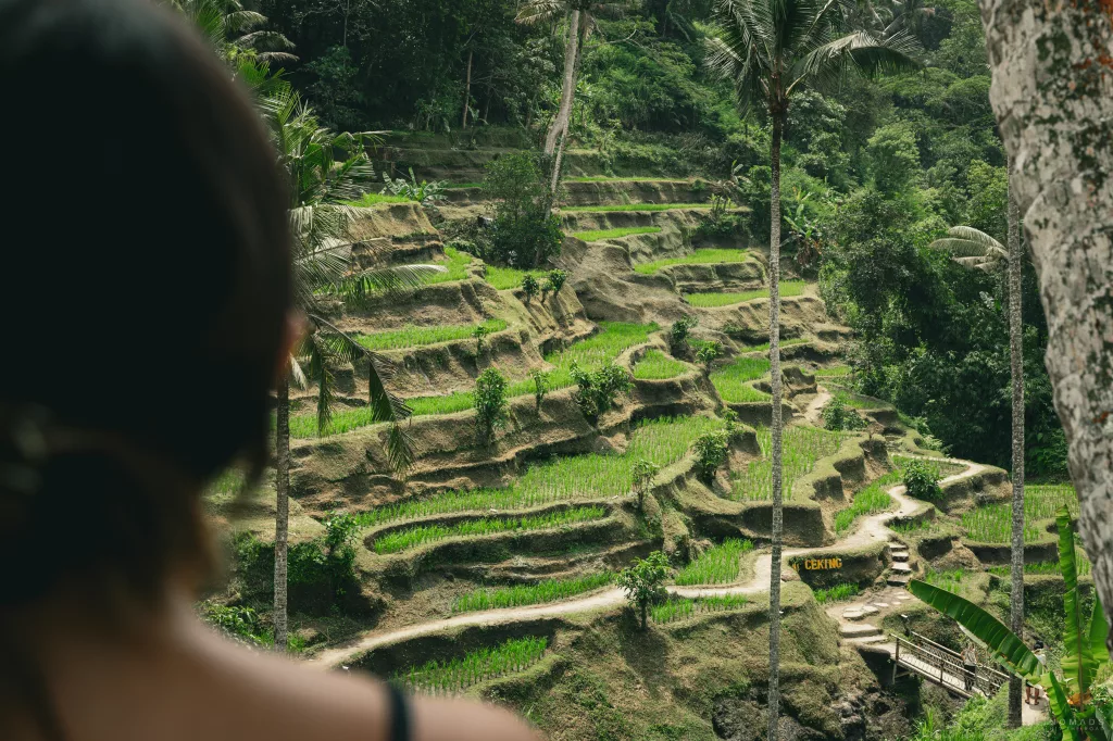 Frau steht an den Tegallalang Reisterrassen in Ubud