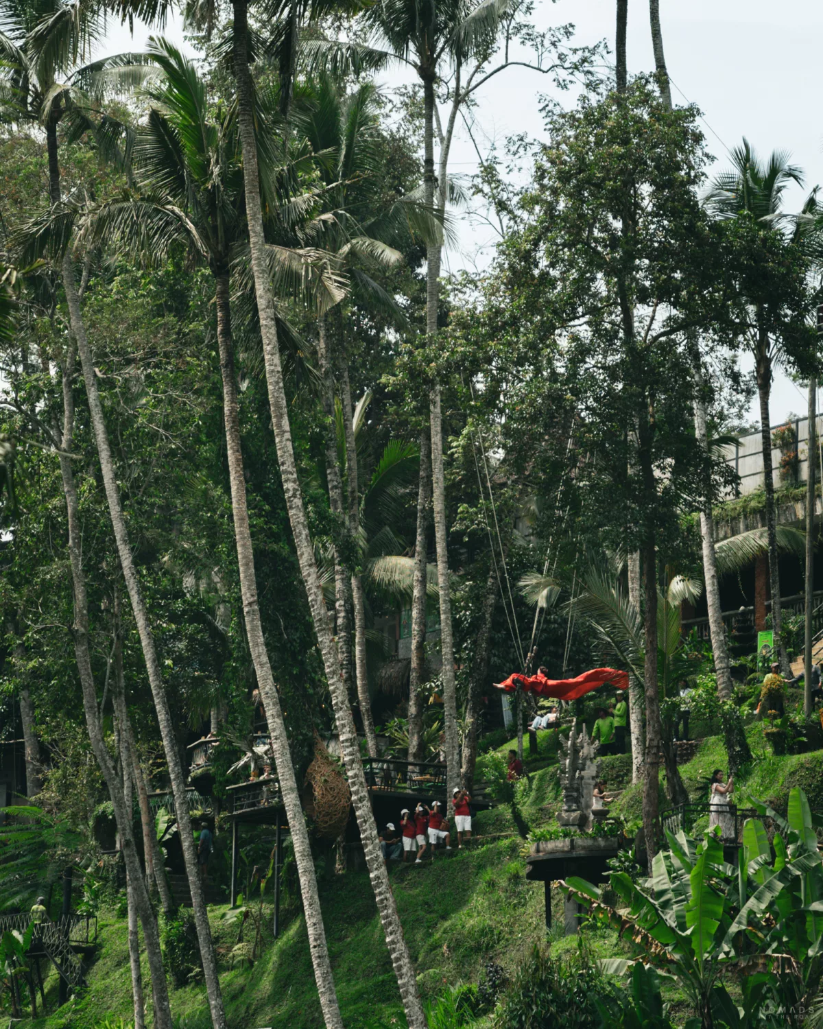 Frau in rotem Kleid auf einer Swing an den Tegallalang Reisterrassen