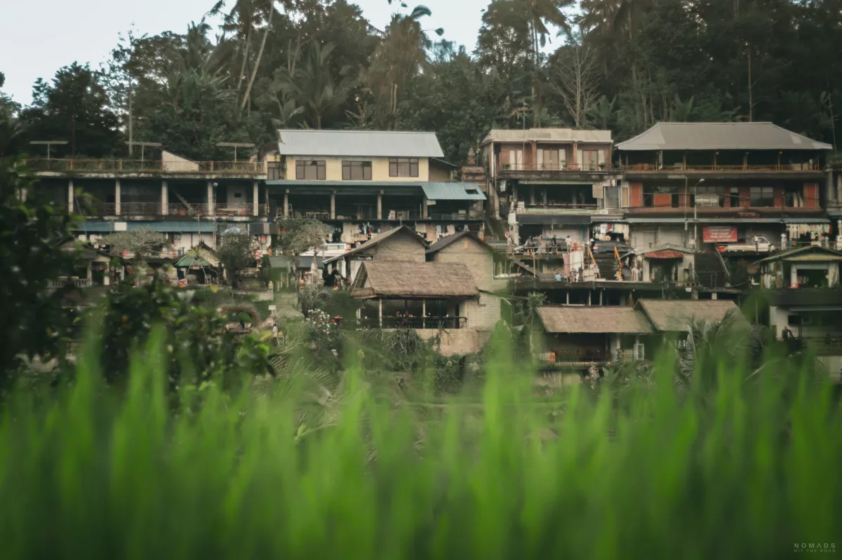 Warungs an den Tegallalang Reisterrassen