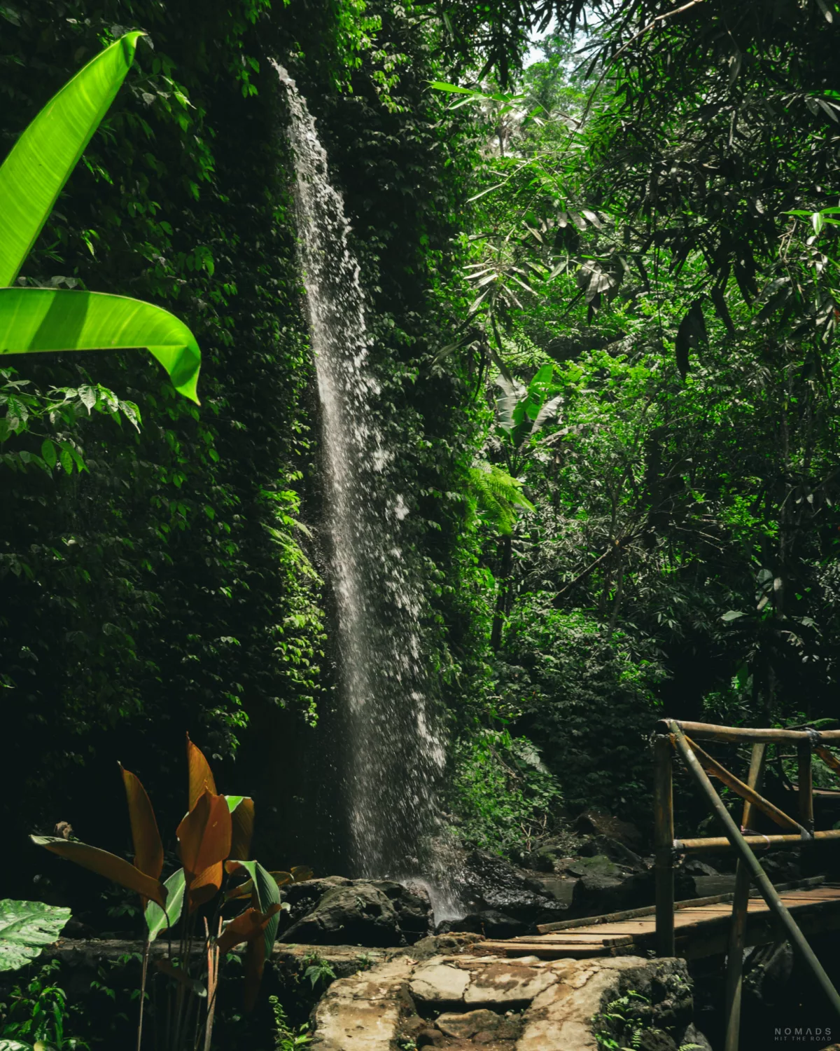 Wasserfall in einem grünen Dschungel