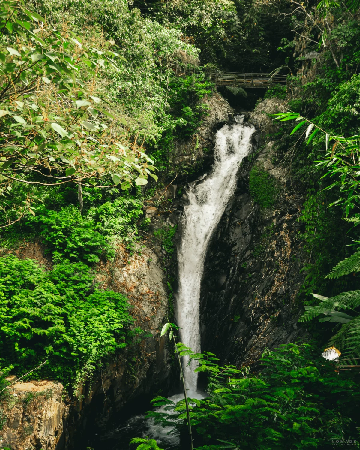 Wasserfall in einem grünen Dschungel
