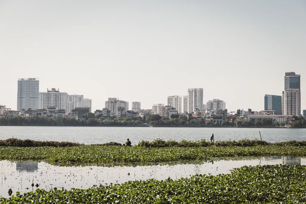 Blick auf Lotuspflanzen auf dem West Lake mit Blick auf die Skyline von Hanoi