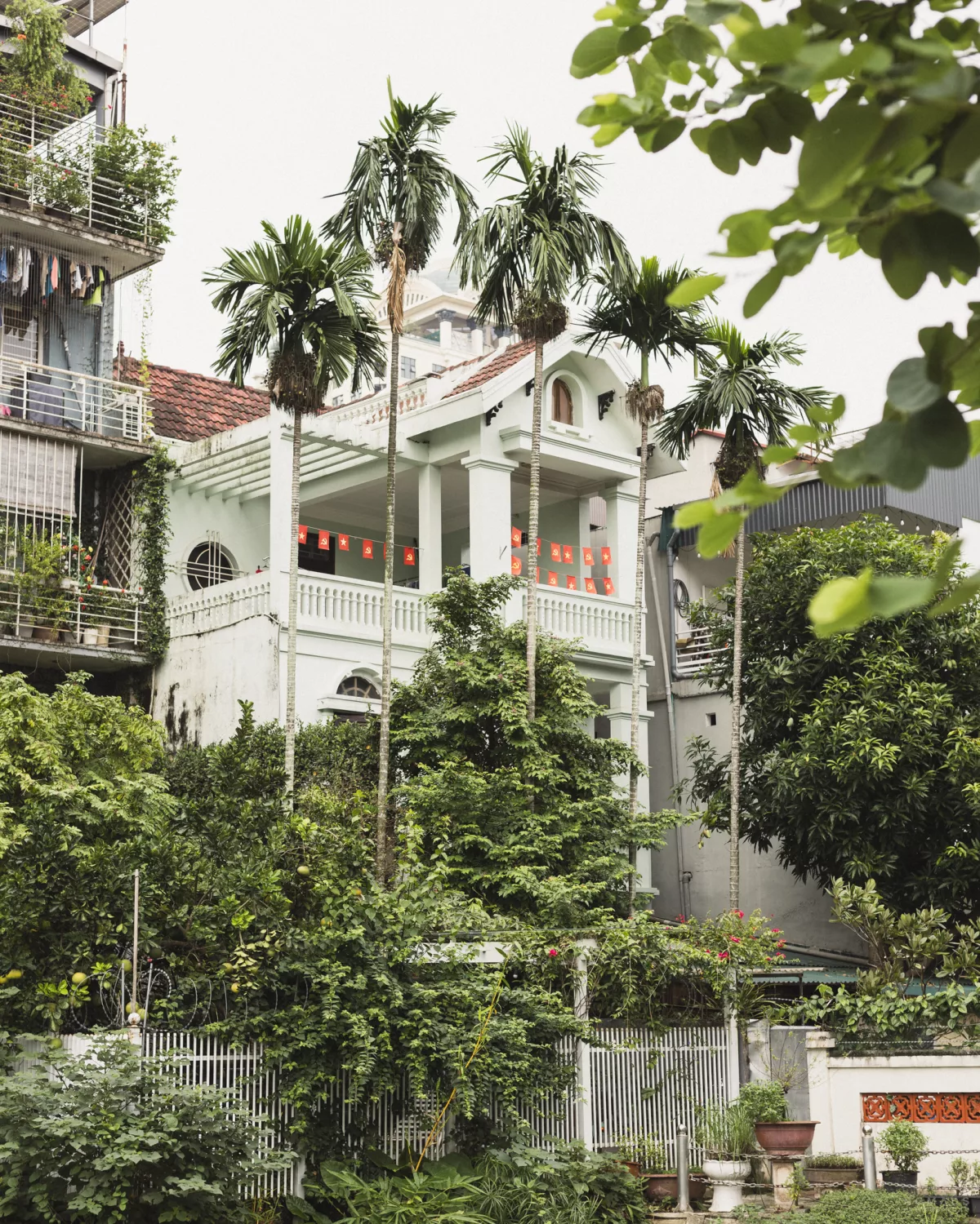 Blick auf Stadthäuser zwischen Pflanzen und Bäumen in Hanoi