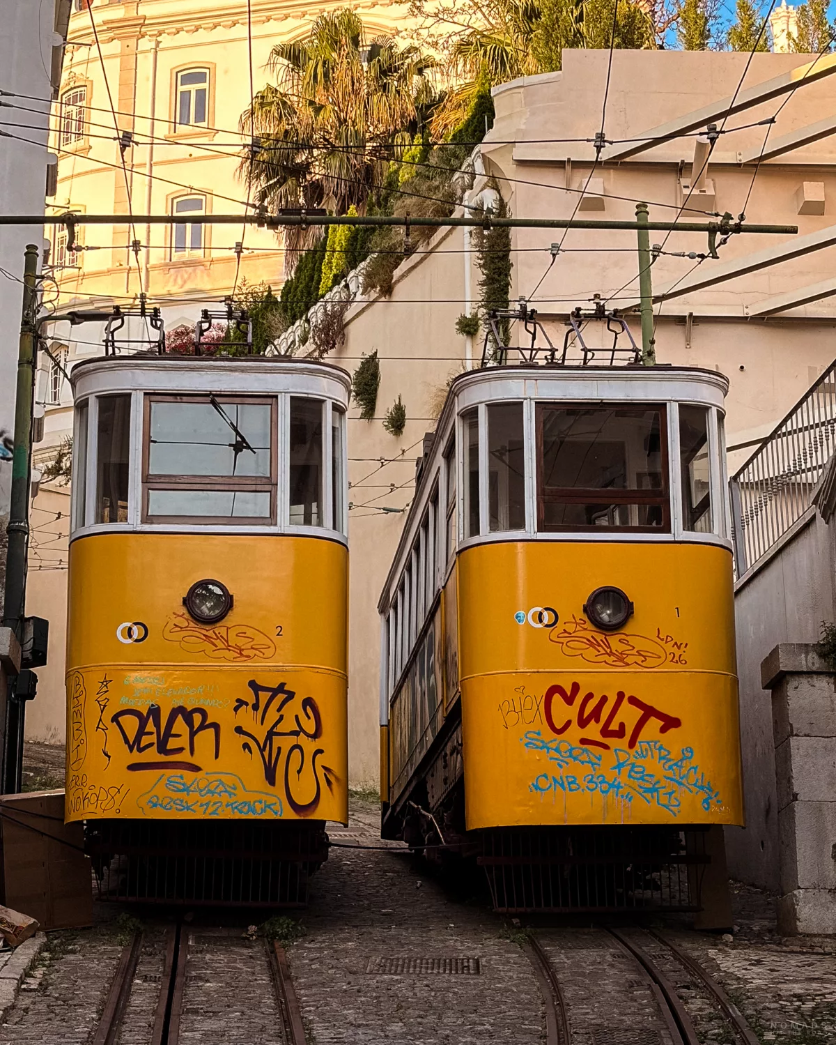 Zwei gelbe Trams stehen auf Gleisen zwischen Gebäuden