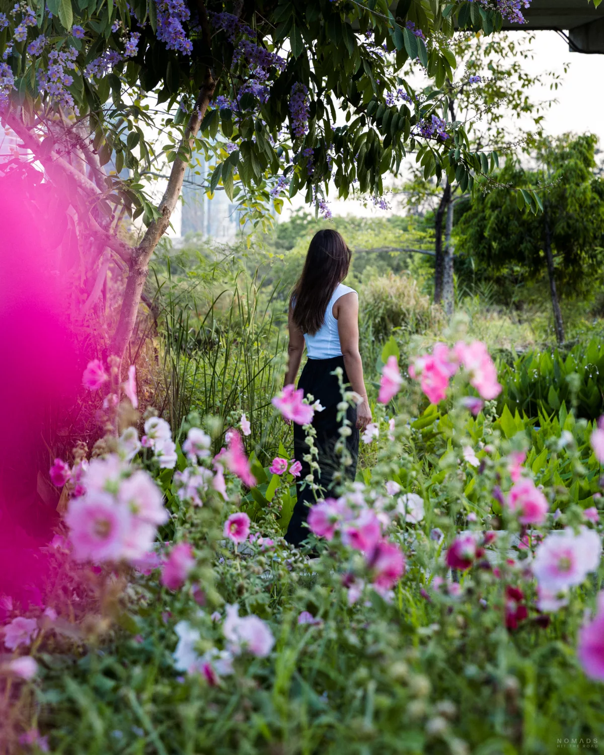 Frau läuft zwischen Pflanzen und roas Blumen im Benjakitti Park entlang