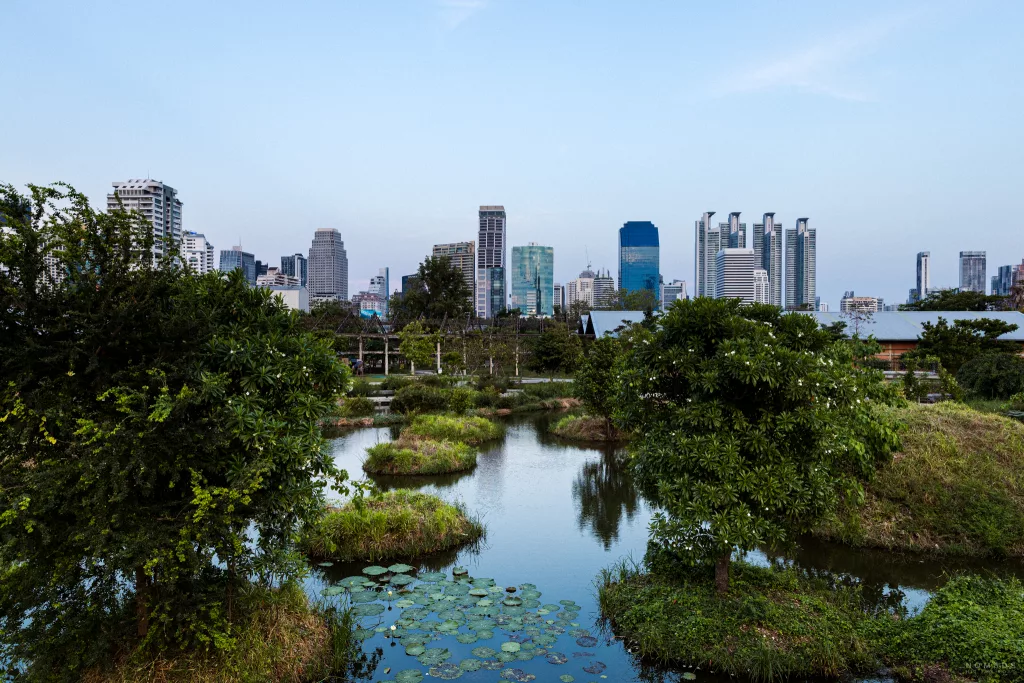Blick auf den grünen Benjakitti Park in Bangkok mit einem Teich und mit der Skyline im Hintergrund