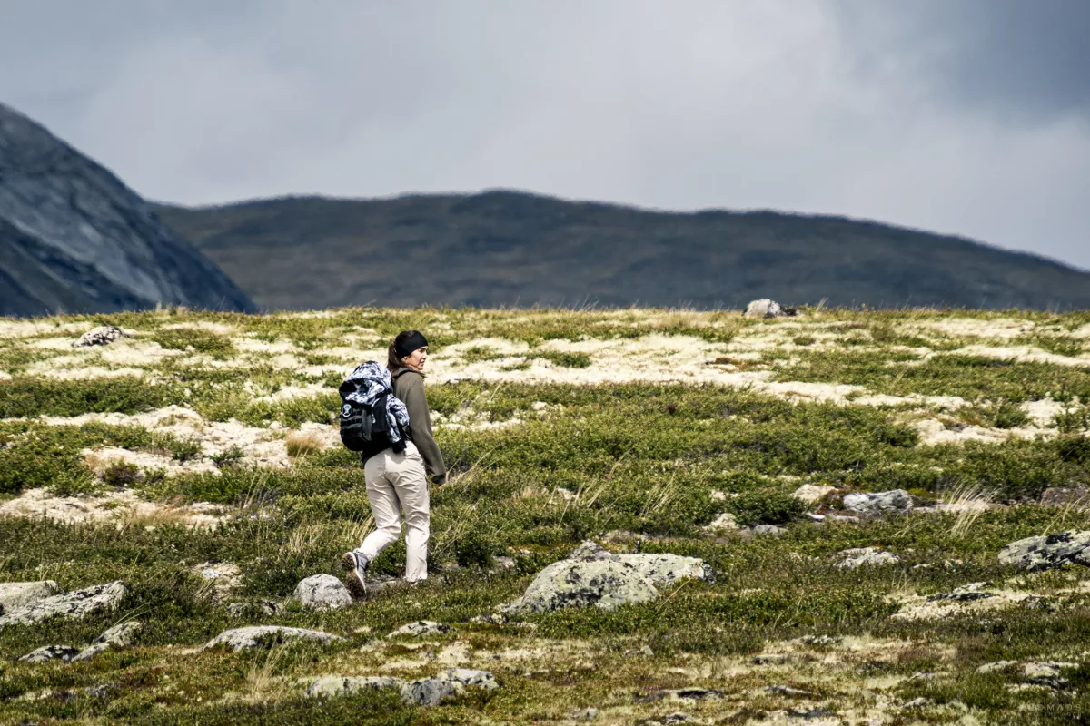 Wanderin läuft auf dem Musk Ox Trail in Norwegen