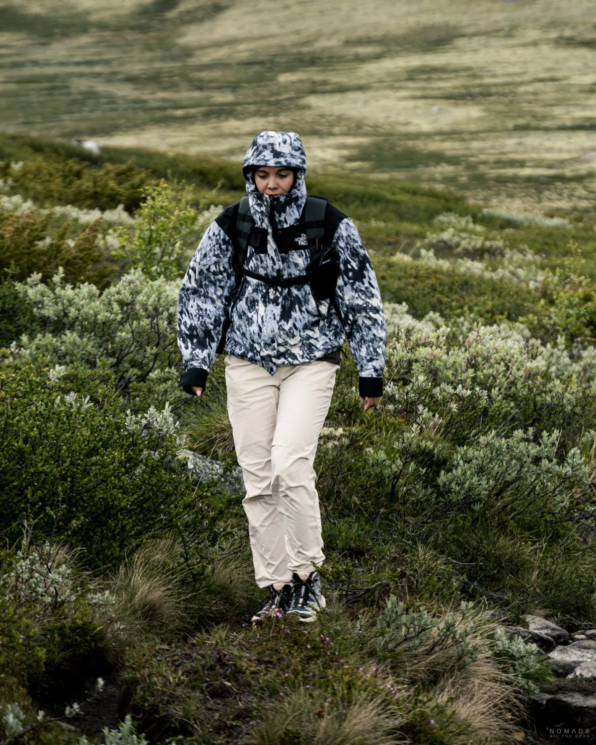 Wanderin in Regenjacke läuft zwischen grüner Vegetation auf der Suche nach Mochusochsen