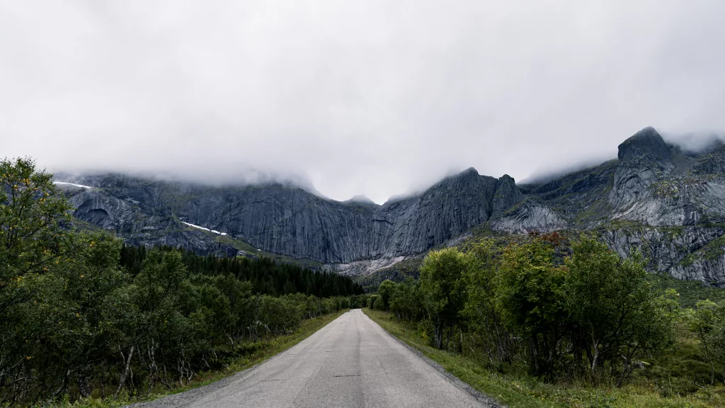 Straße, die auf eine markante Felswand zuläuft gesäumt von Bäumen auf dem Weg nach Nusfjord