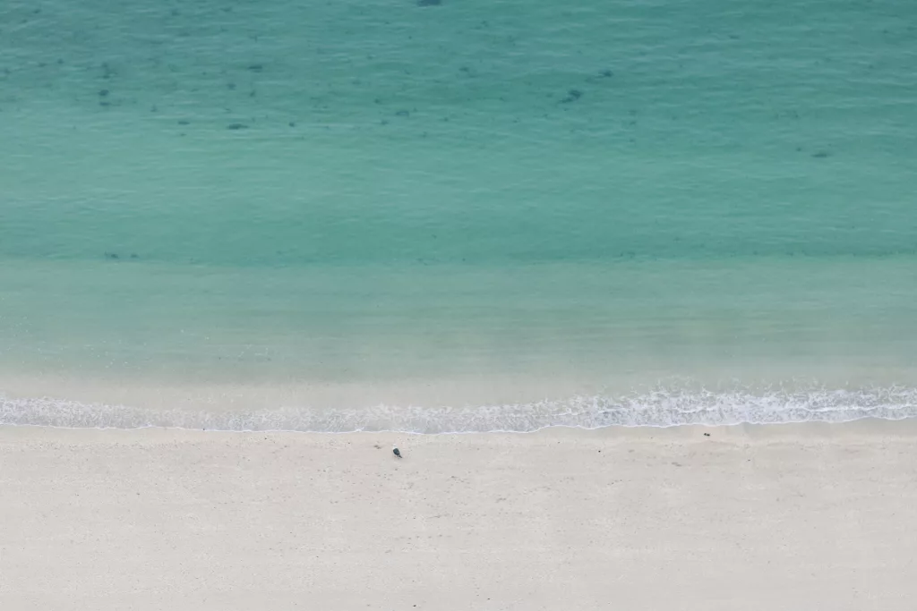 Blick auf türkisfarbenes Wasser und Sandstrand auf Sommarøy