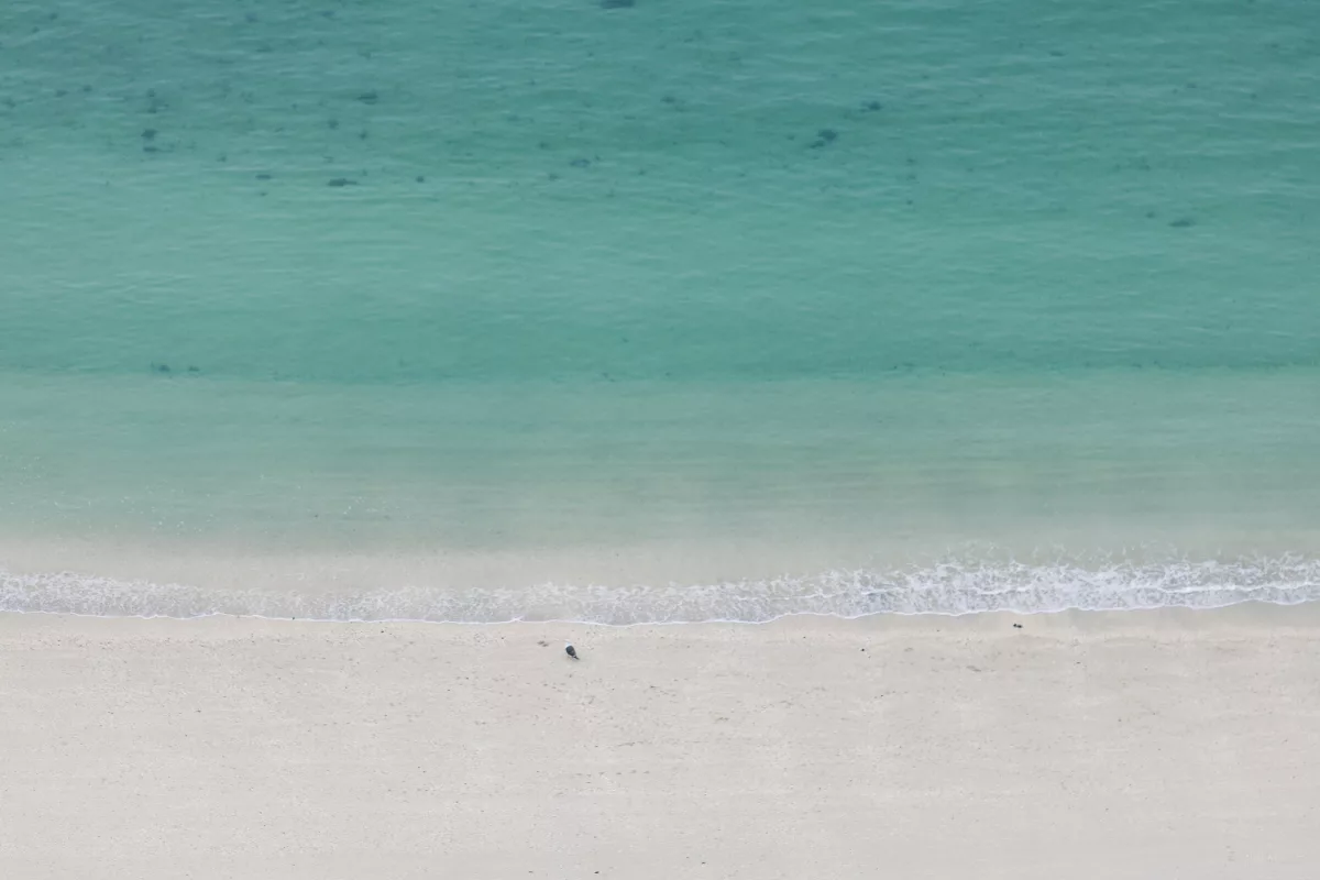 Blick auf türkisfarbenes Wasser und Sandstrand auf Sommarøy