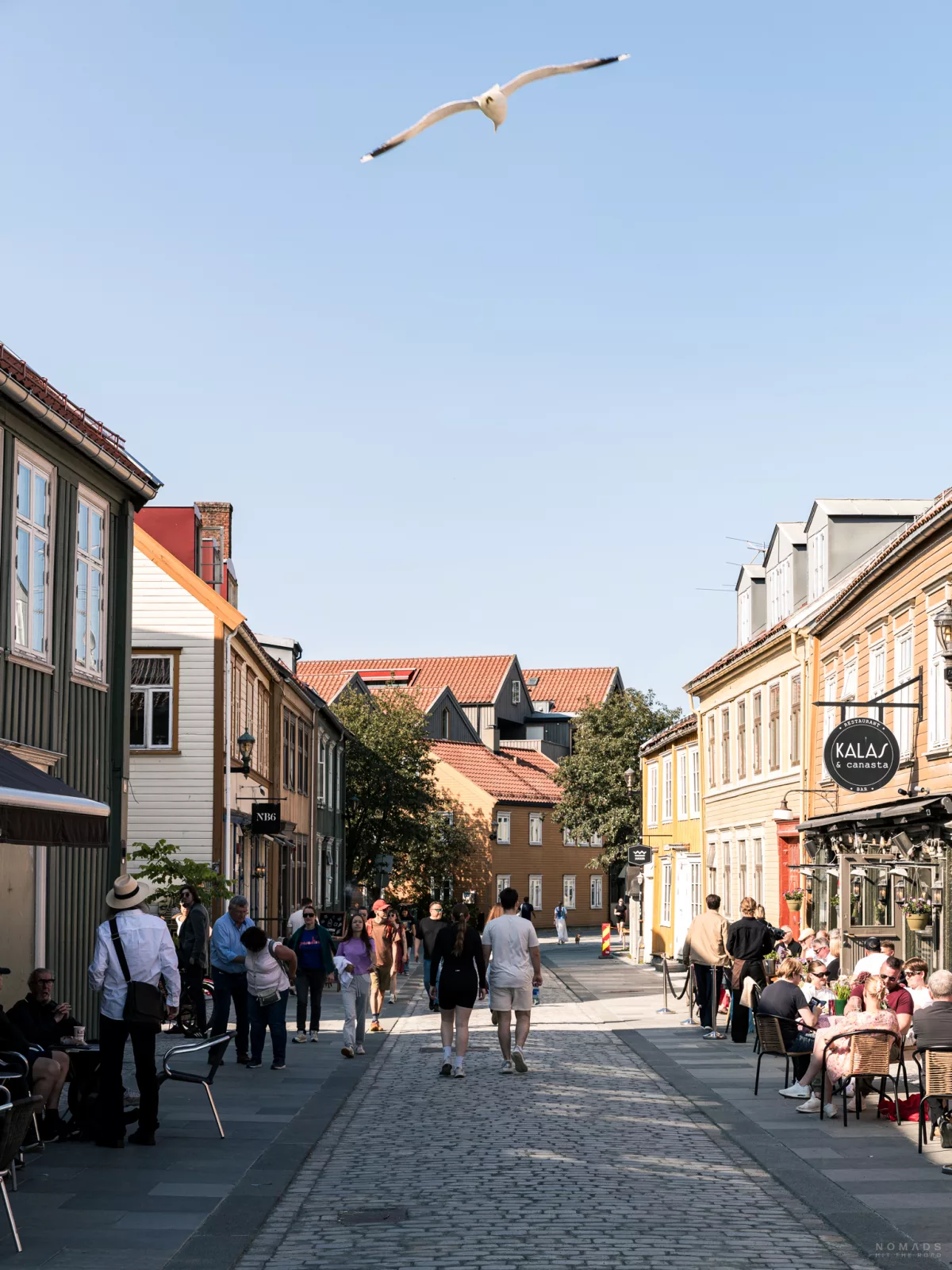 Menschen laufen durch die Gassen von Bakklandet in Trondheim, am Himmer fliegt eine Möwe
