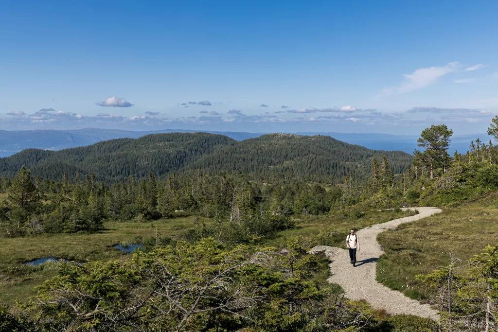 Mann läuft auf einem Wanderweg in der grünen Bymarka in Norwegen