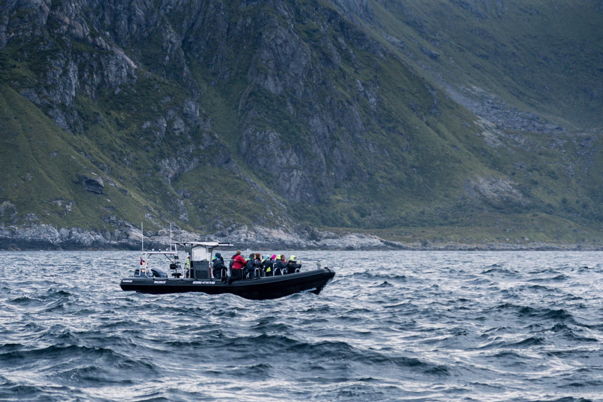 RIB-Boot auf dem Wasser vor Bleiksøya