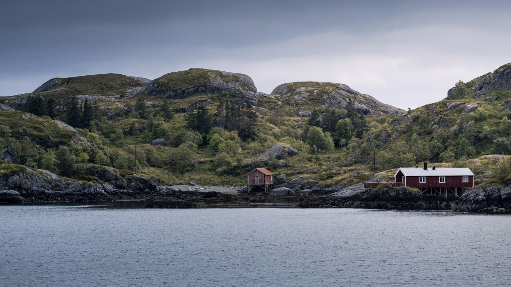 Rote Rorbuer stehen auf grün bewachsenen Felsen am Wasser auf den Lofoten