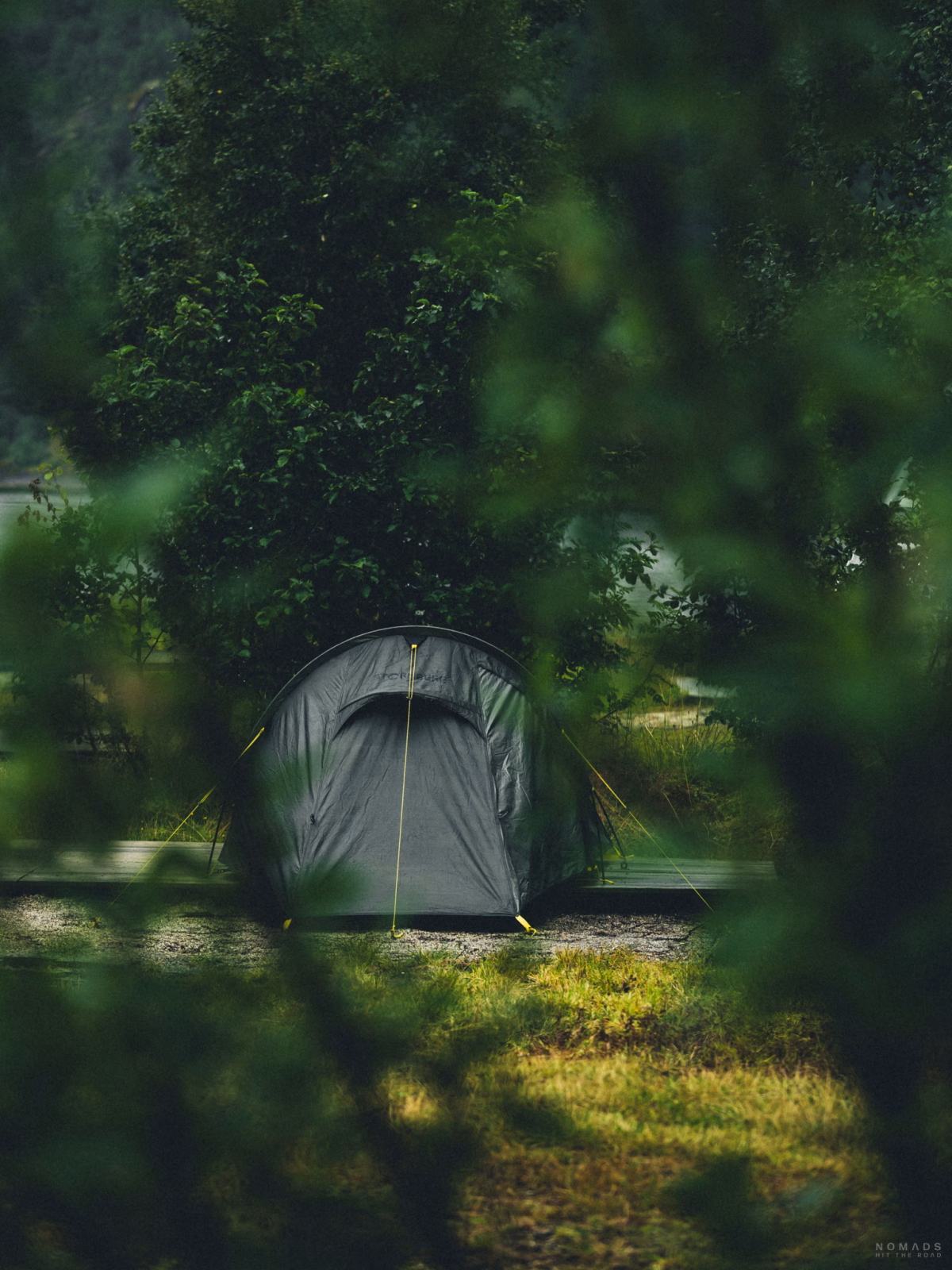 Zelt steht auf Holzplanken zwischen Büschen auf dem Øyra Camping