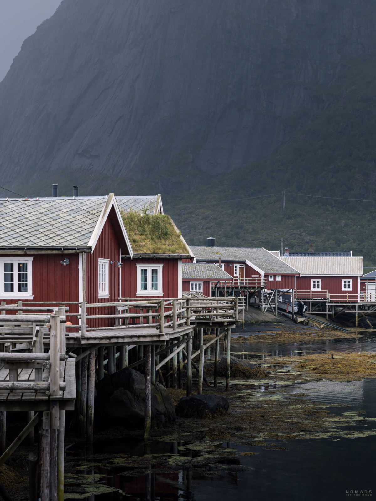 Rote Rorbuer am Wasser in Reine auf den Lofoten